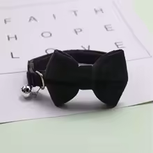 Soft Velvet Bow Collar for Cats